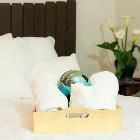 Suite 5A, Altavista, Garden House, Welcome To San Angel メキシコシティ エクステリア 写真