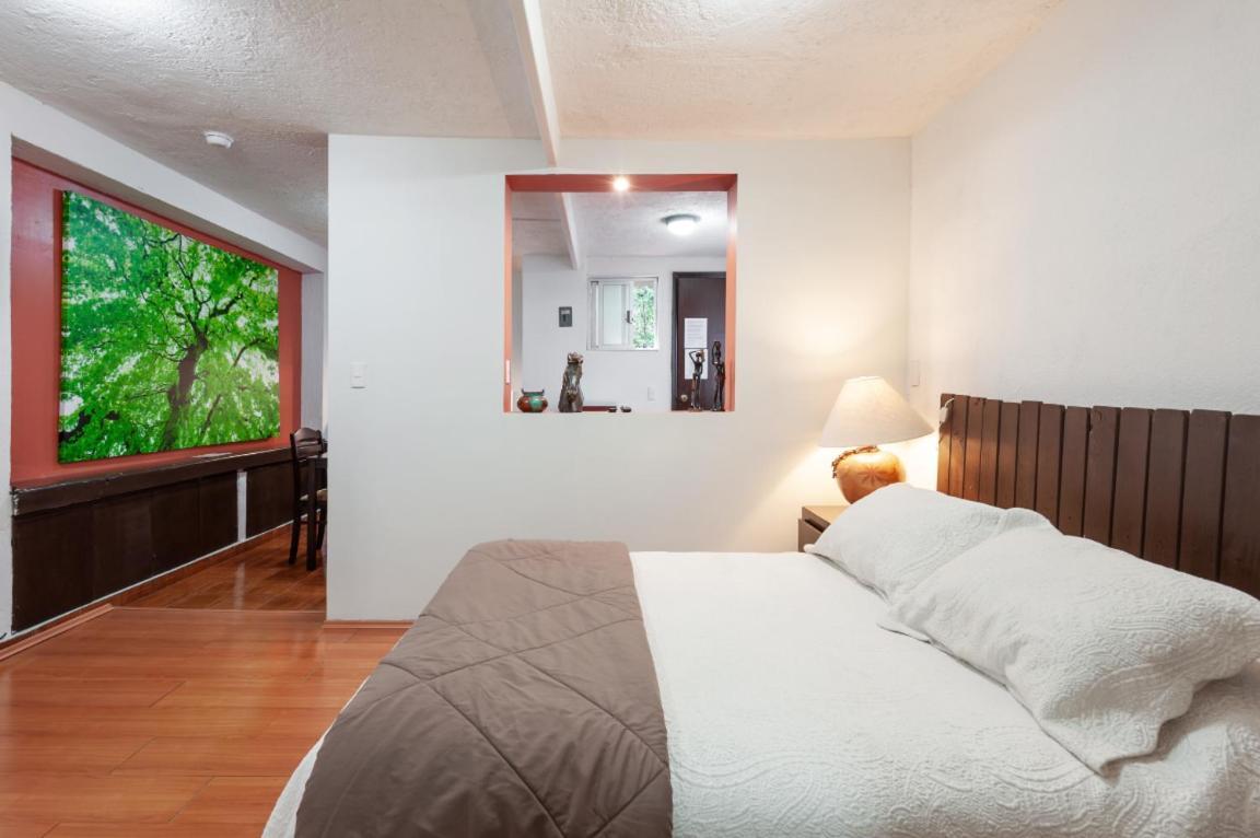 Suite 5A, Altavista, Garden House, Welcome To San Angel メキシコシティ エクステリア 写真