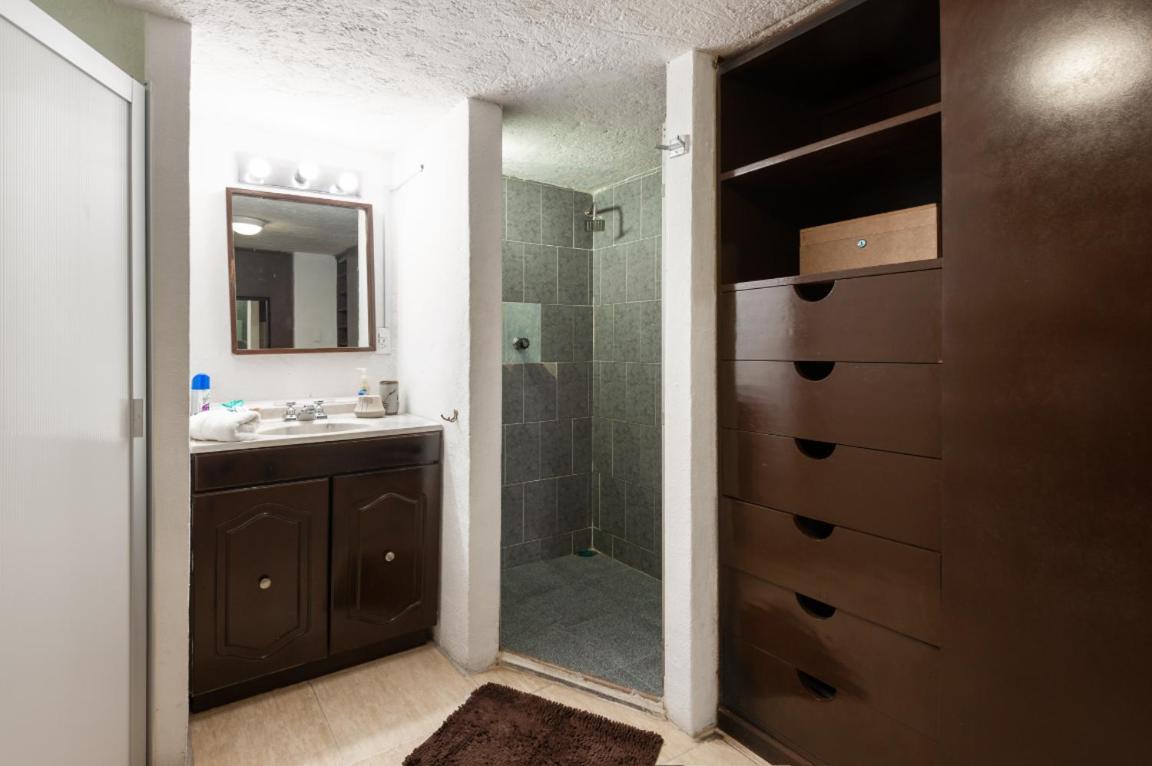 Suite 5A, Altavista, Garden House, Welcome To San Angel メキシコシティ エクステリア 写真