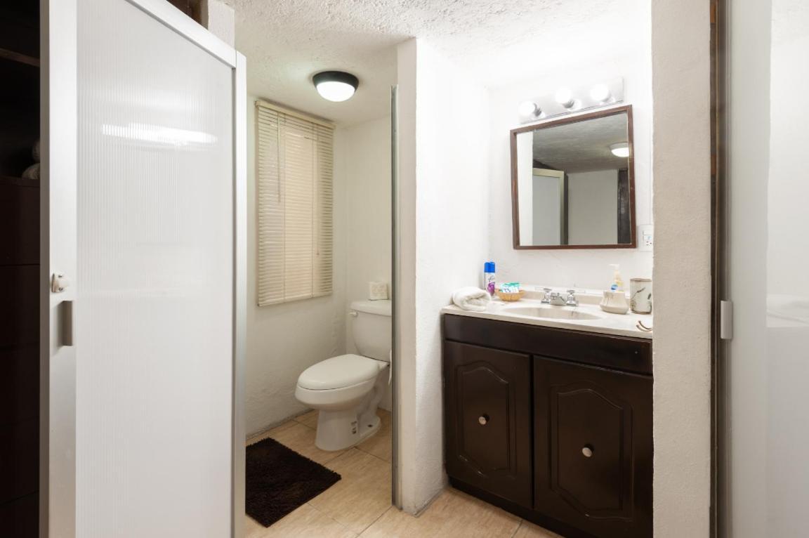 Suite 5A, Altavista, Garden House, Welcome To San Angel メキシコシティ エクステリア 写真