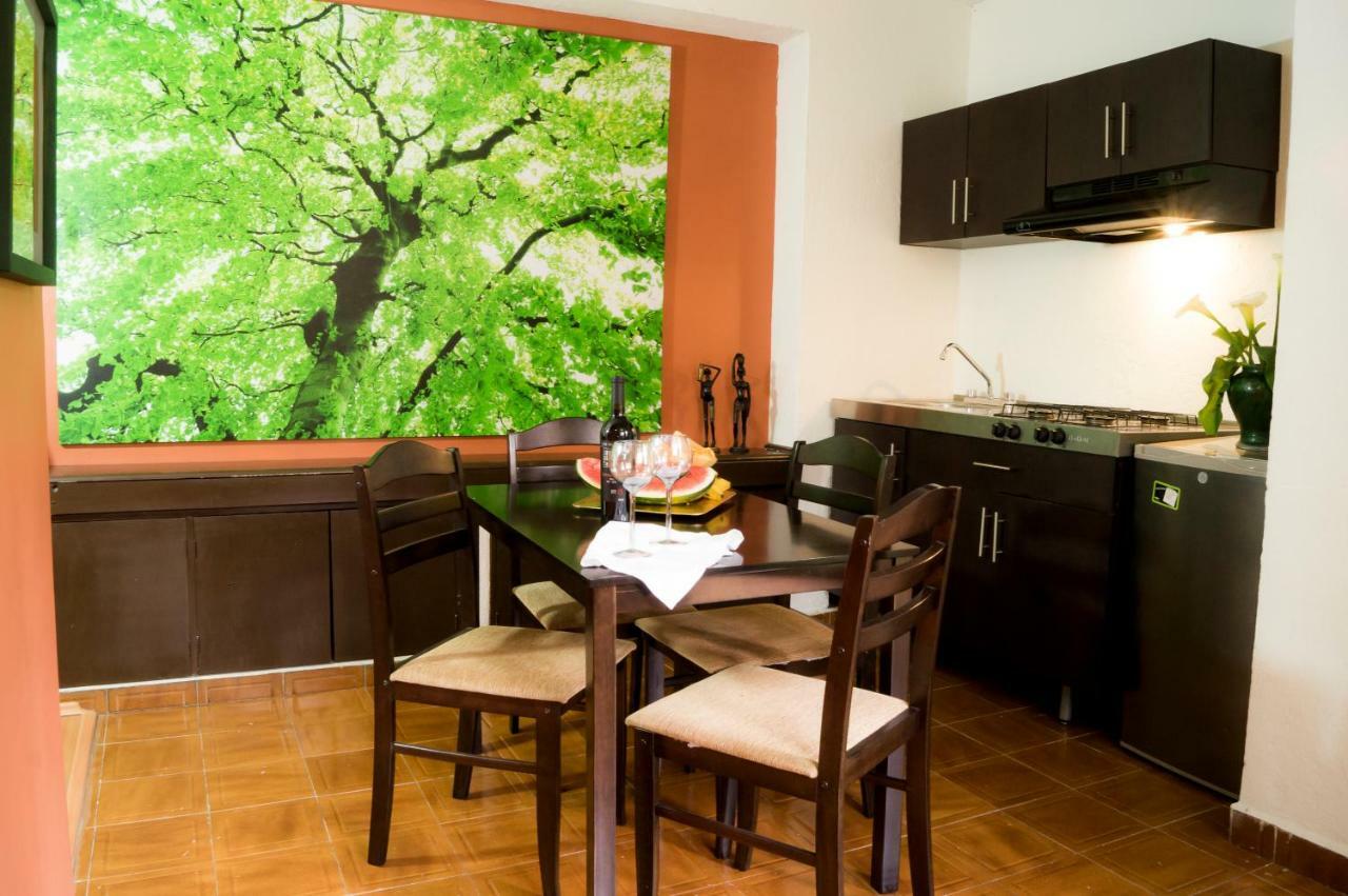 Suite 5A, Altavista, Garden House, Welcome To San Angel メキシコシティ エクステリア 写真