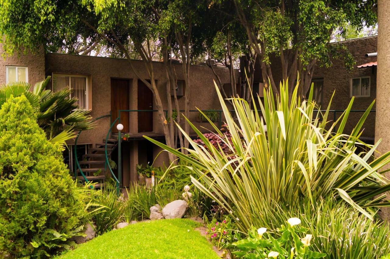 Suite 5A, Altavista, Garden House, Welcome To San Angel メキシコシティ エクステリア 写真