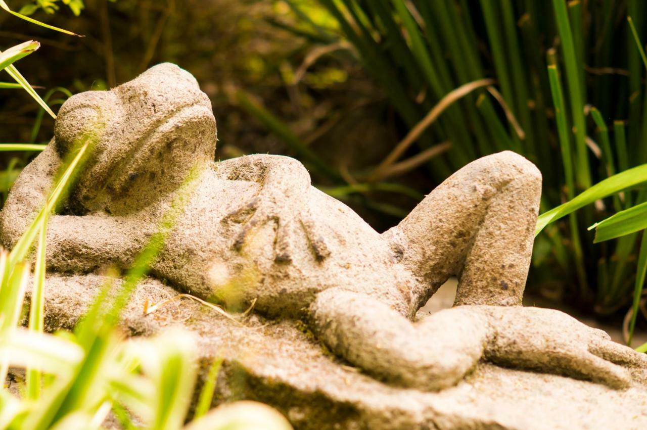 Suite 5A, Altavista, Garden House, Welcome To San Angel メキシコシティ エクステリア 写真