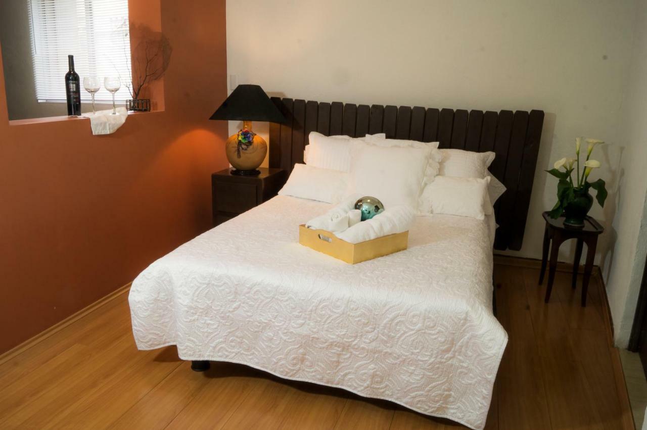 Suite 5A, Altavista, Garden House, Welcome To San Angel メキシコシティ エクステリア 写真