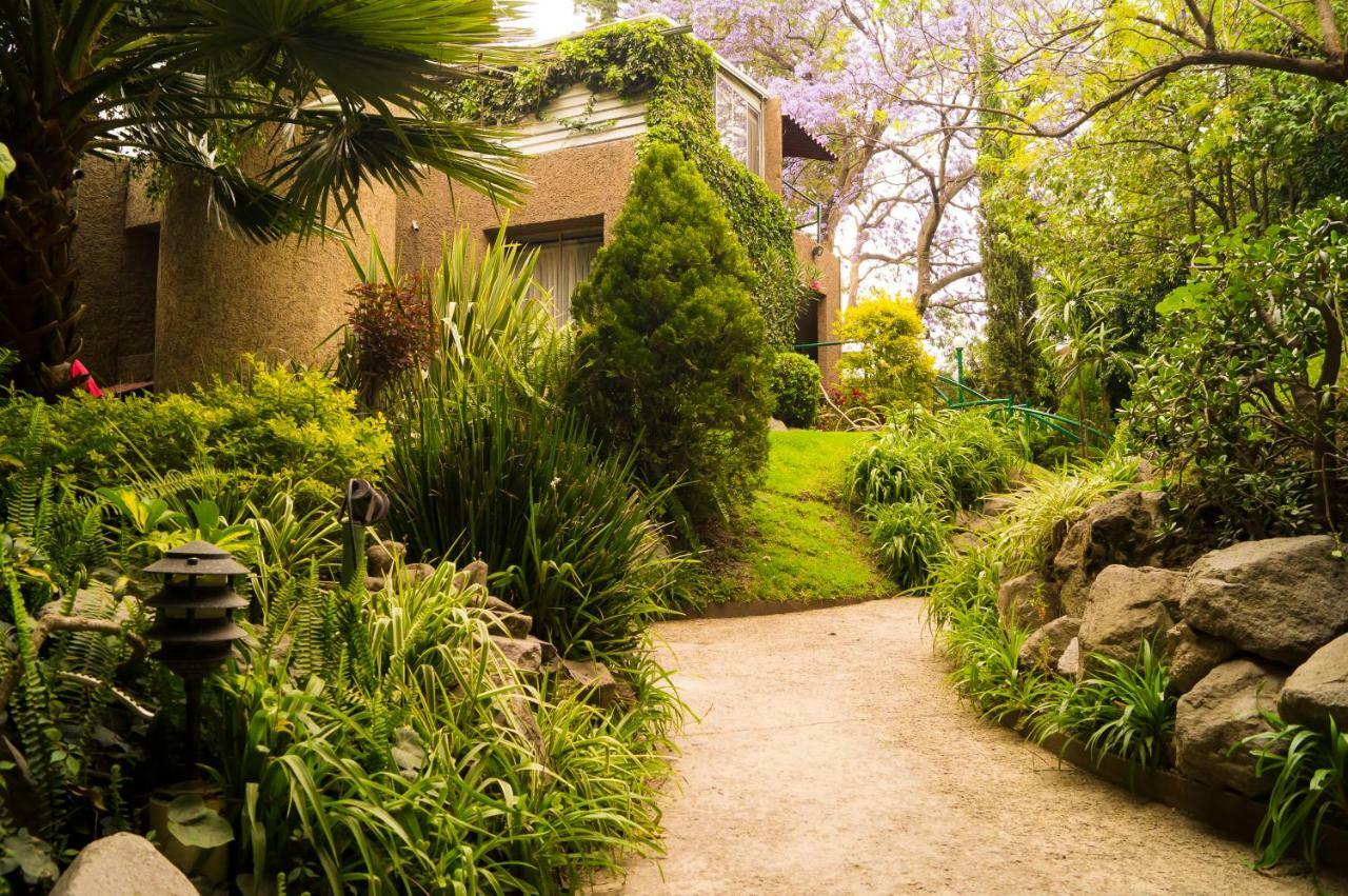 Suite 5A, Altavista, Garden House, Welcome To San Angel メキシコシティ エクステリア 写真