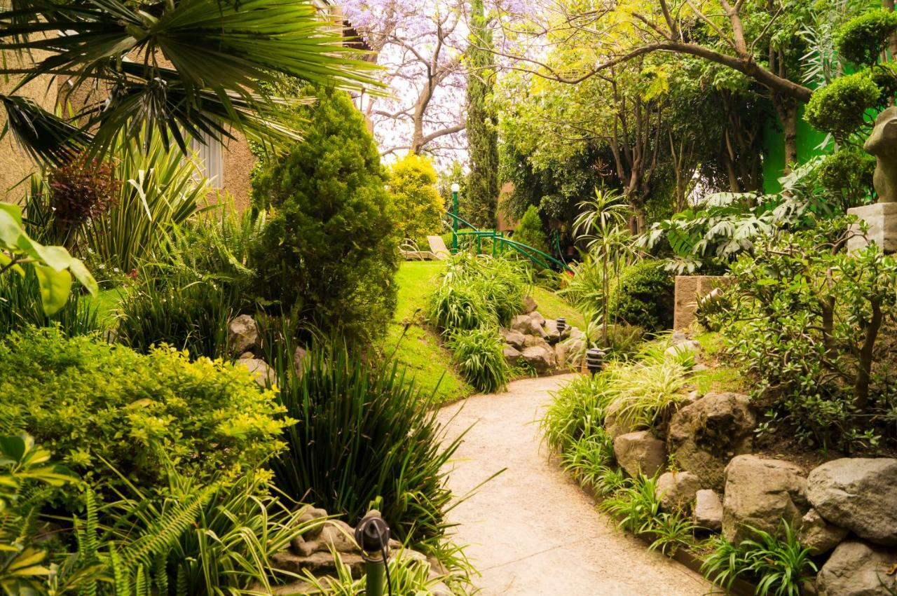 Suite 5A, Altavista, Garden House, Welcome To San Angel メキシコシティ エクステリア 写真
