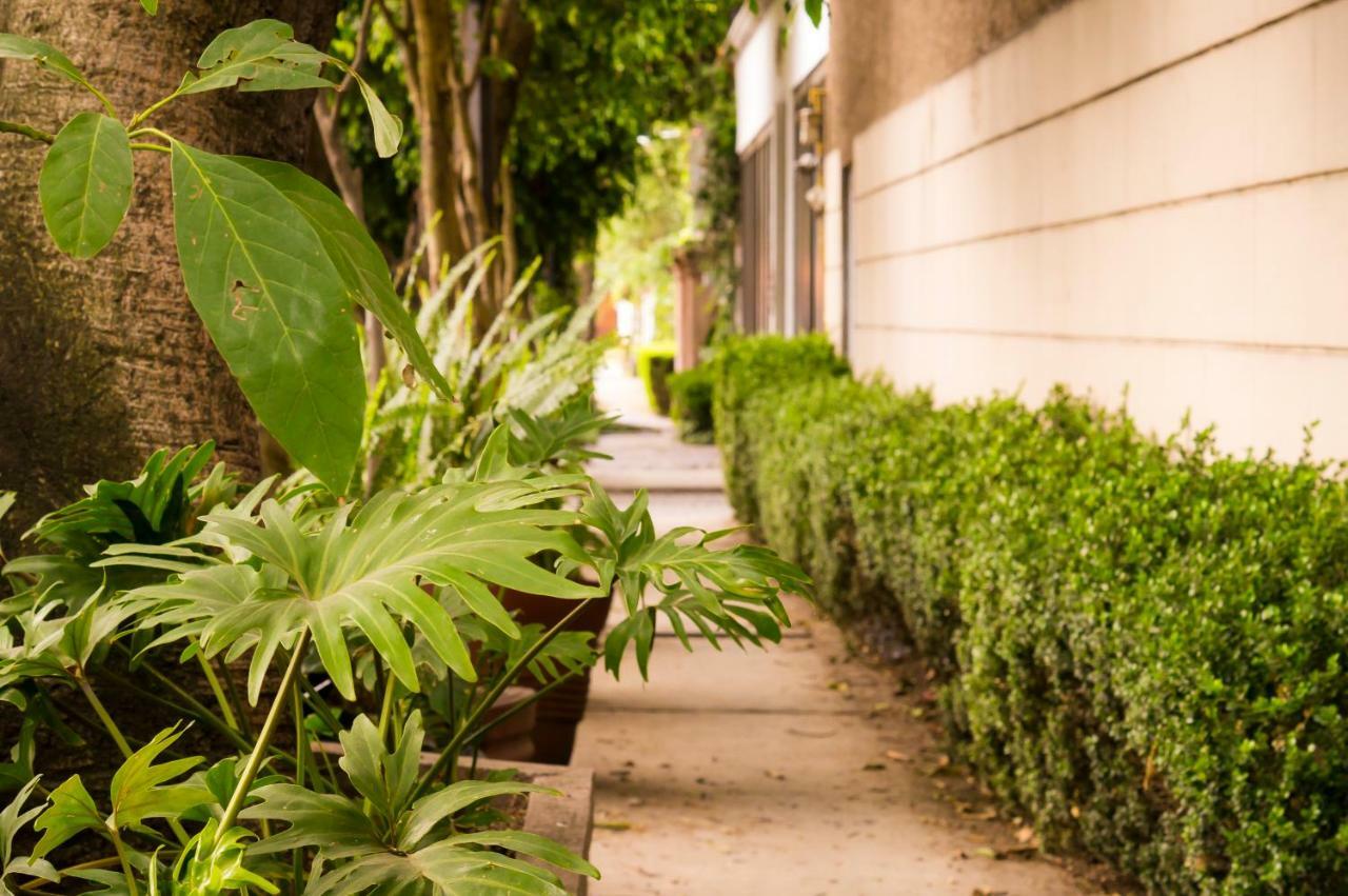 Suite 5A, Altavista, Garden House, Welcome To San Angel メキシコシティ エクステリア 写真